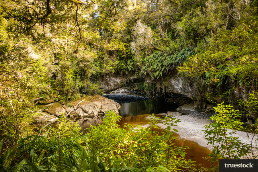Oparara Basin Arches