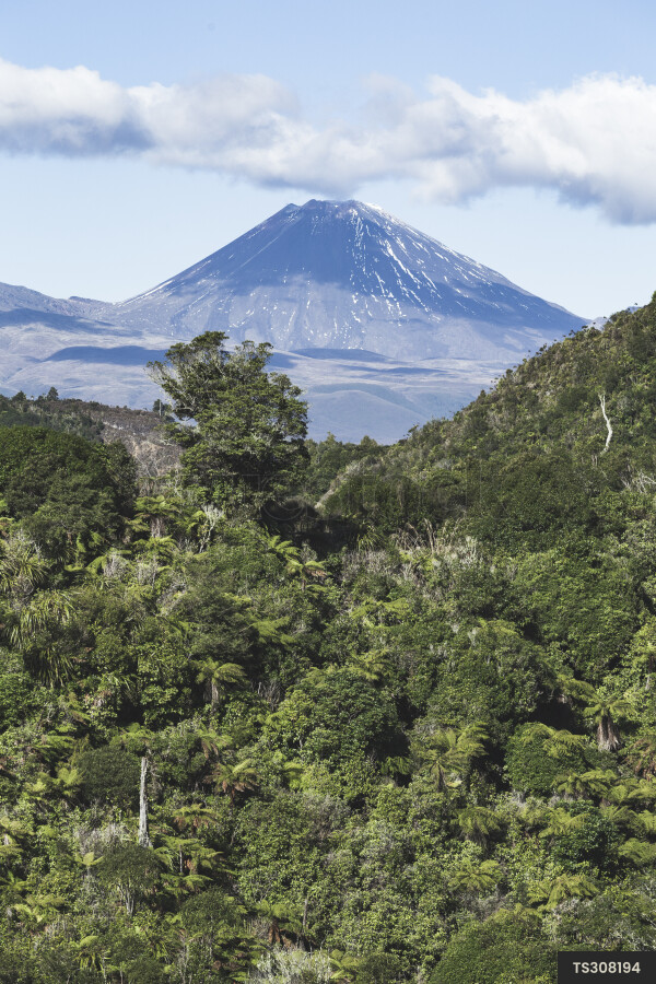 Taupo Mountain Landscape
