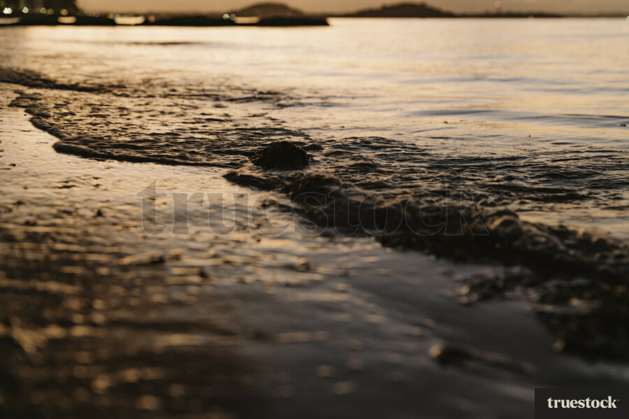 Kohimarama Beach Shore at Sunset