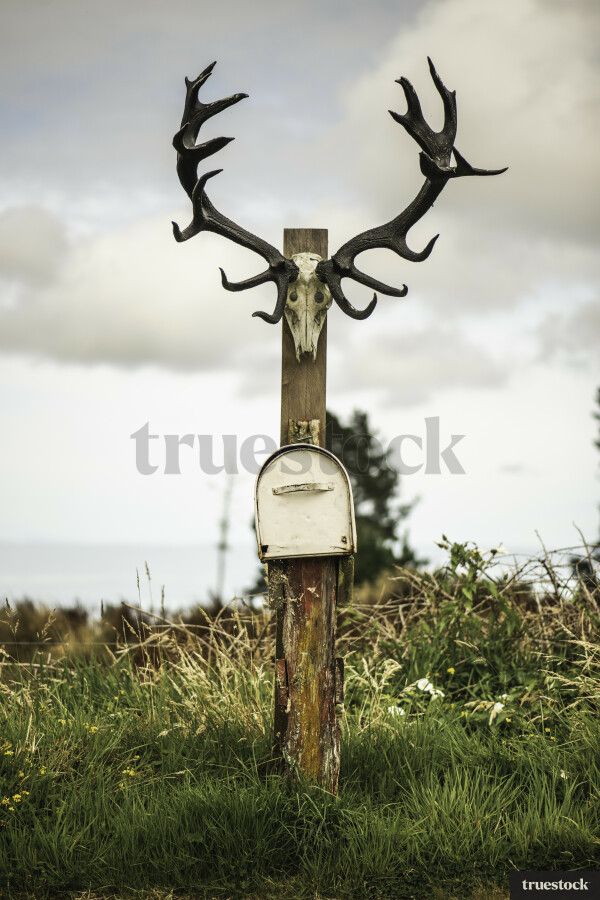 Letterbox With Antlers on Top