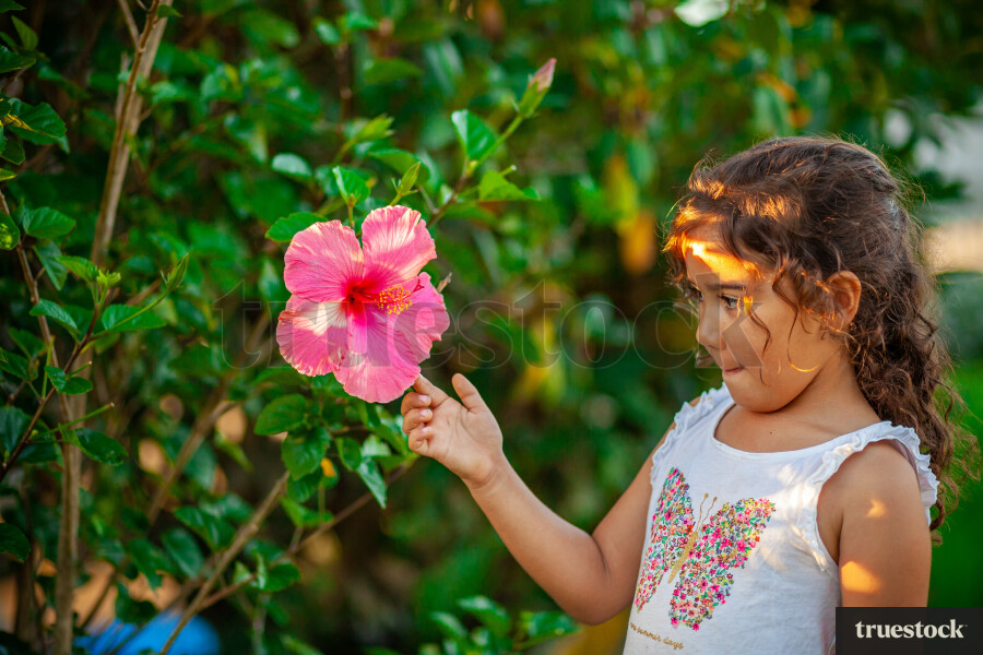 Child touching a hibiscus flower with sun rays hitting the body