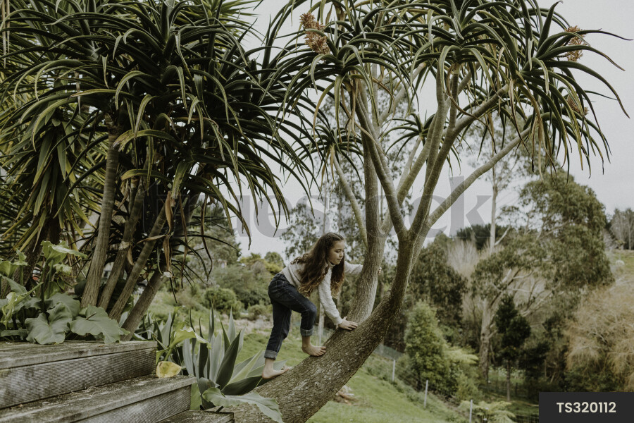 Young Kid Climbing Tree