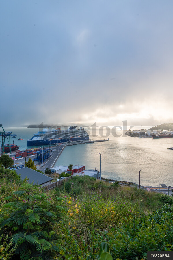 Lyttelton Port