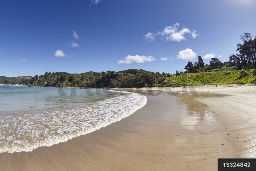 Beach in the Bay of Islands