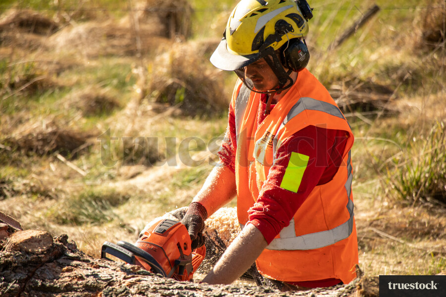 Worker Cutting Log