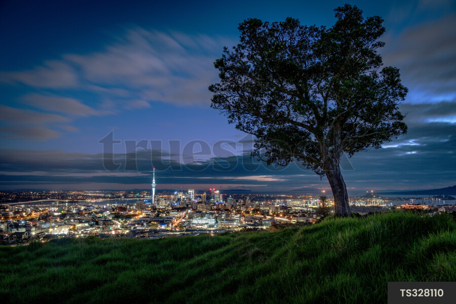 Auckland City Night Lights