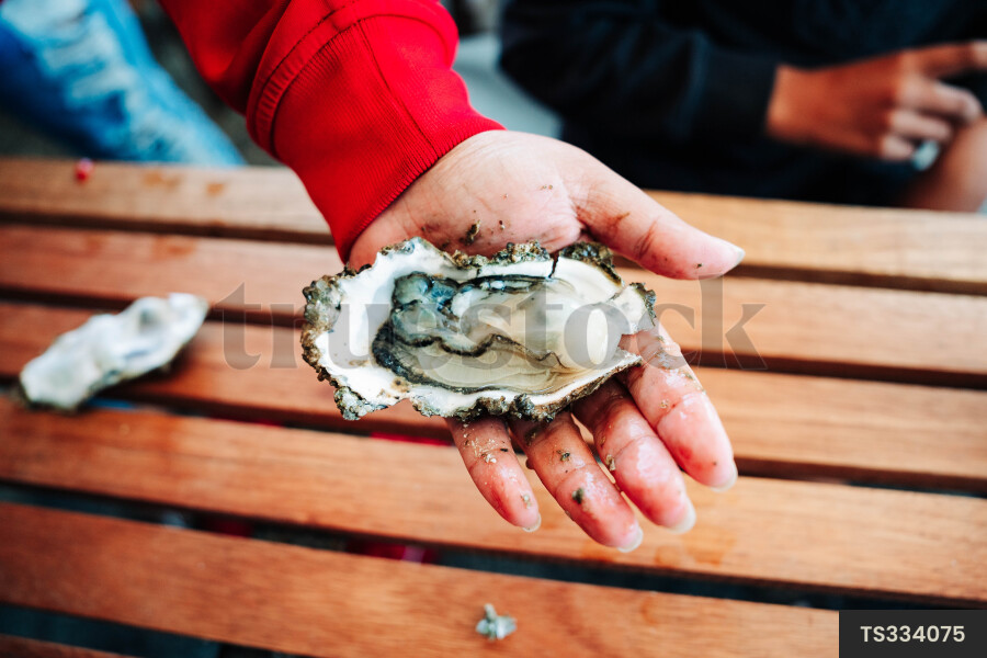 Hand of boy holding paua
