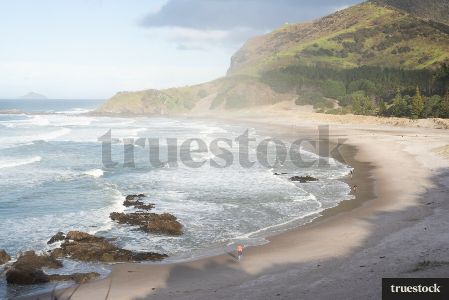 Panorama of the beach with dunes