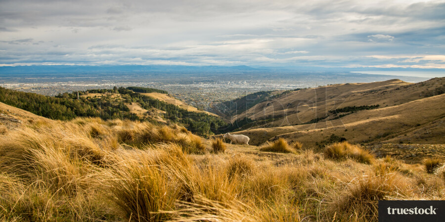 Hilltop overlooking the valley