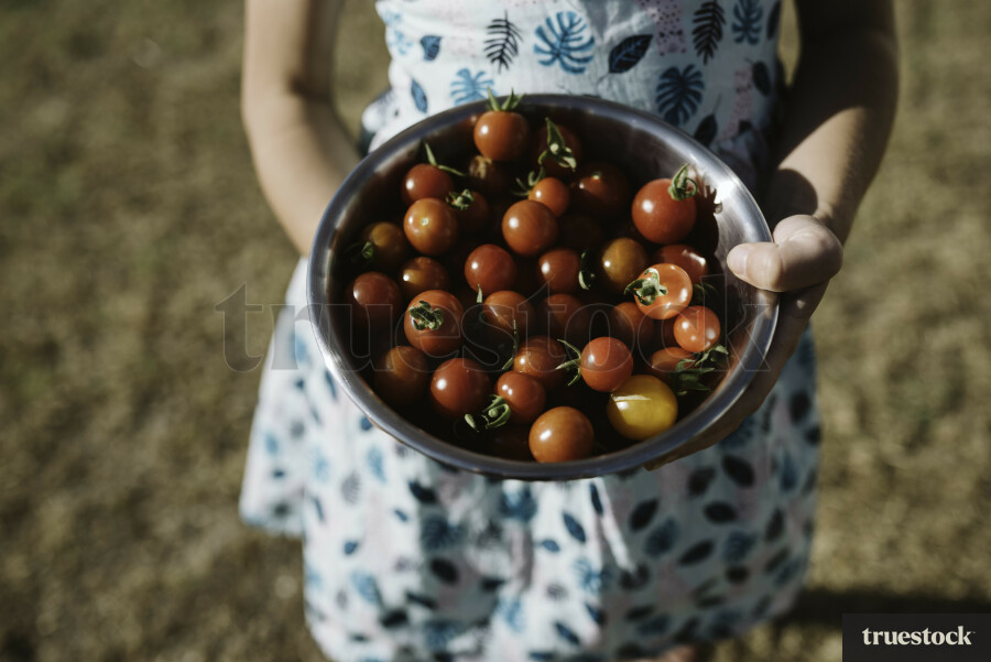 Girl Holding a Bowl of Cherry Tomatoes