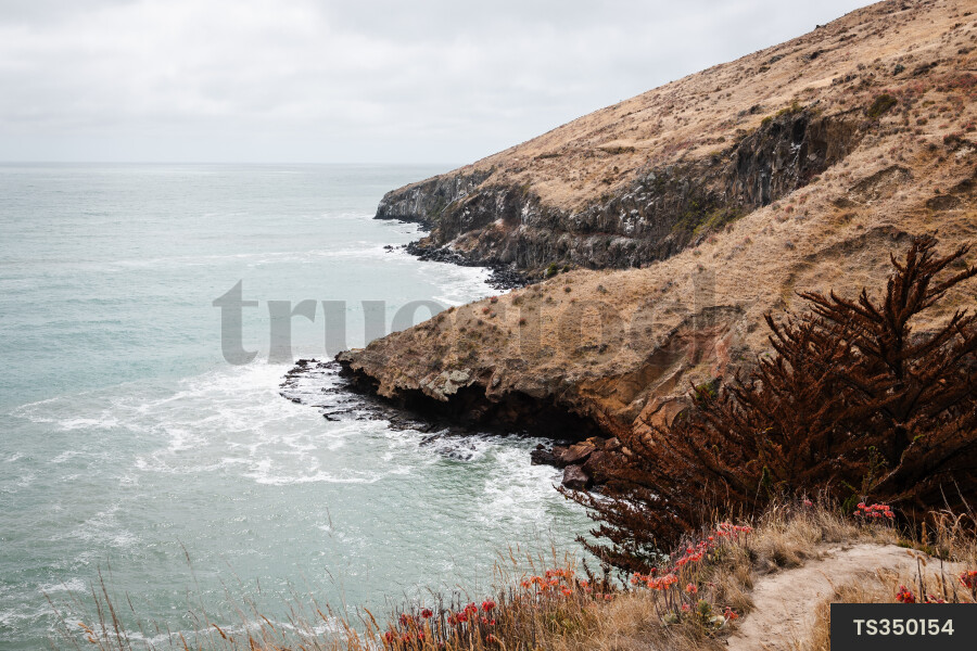 Coastline in Canterbury