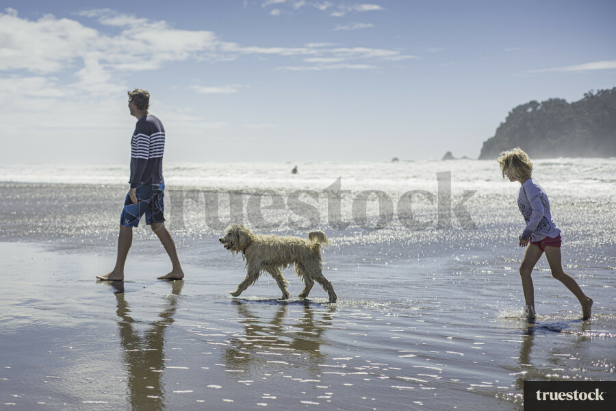 Father and Daughter Playing with Dog on Beach