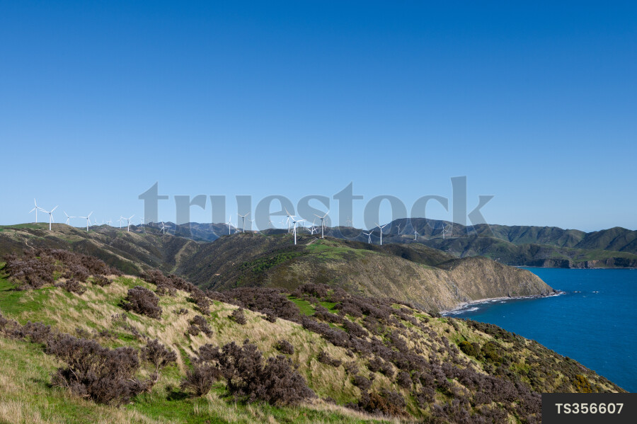 Makara West Wind Farm by sea in Wellington