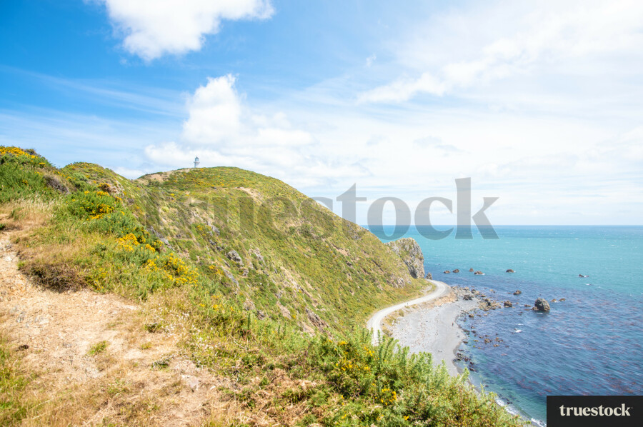 Coastal Walkway Kapiti Coast