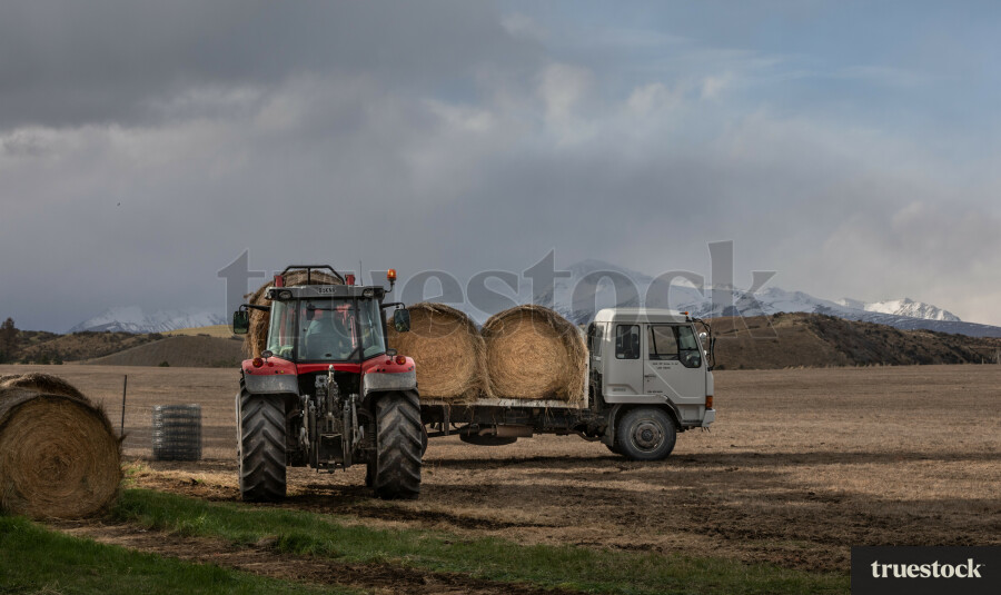 Otago Farm by Kerensa Clark Truestock