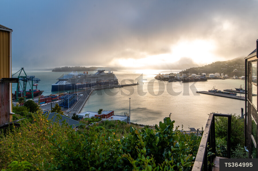 Lyttelton Port