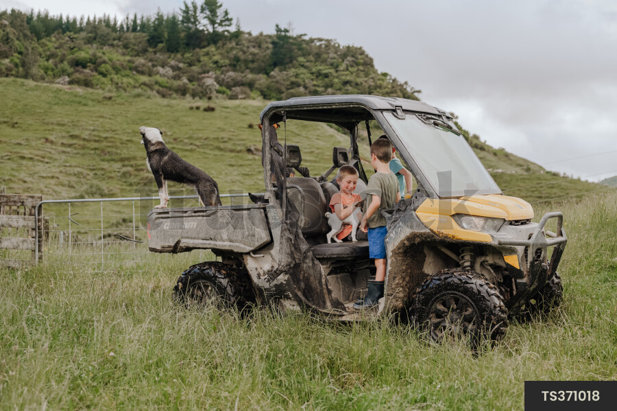 ATV with Dogs on Farm