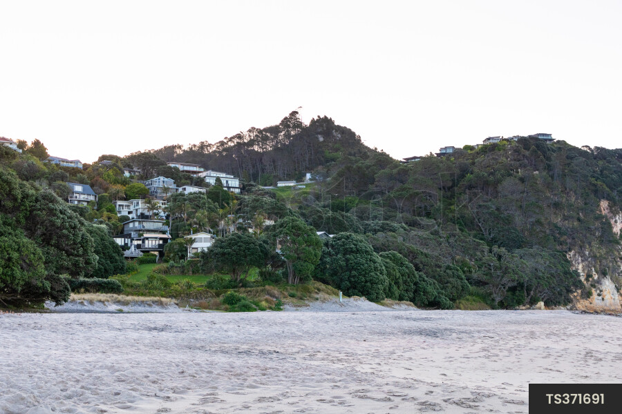 Baches on hill by beach in Coromandel