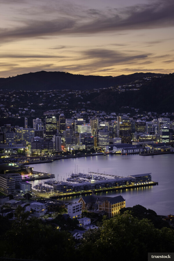 Wellington at Night