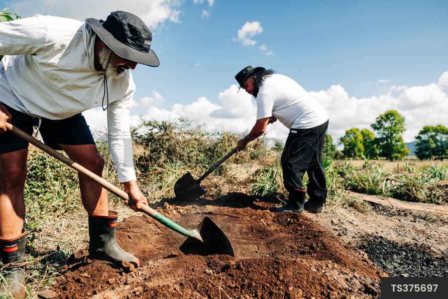 TS375697 Father and son digging for back yard hangi by Erica Sinclair ...