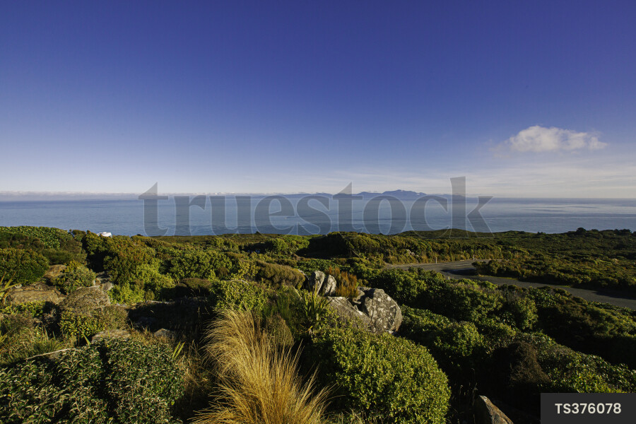 Bluff Lookout Landscape