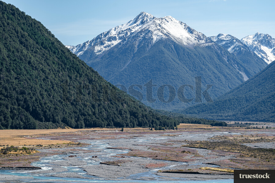 Mountains in Christchurch