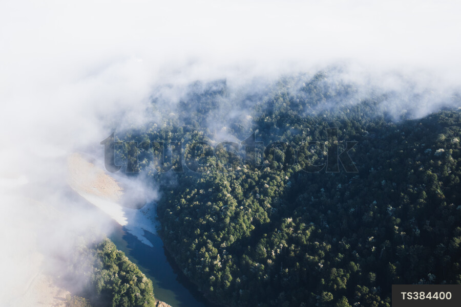Aerial view of clouds above forest in Fiordland National Park