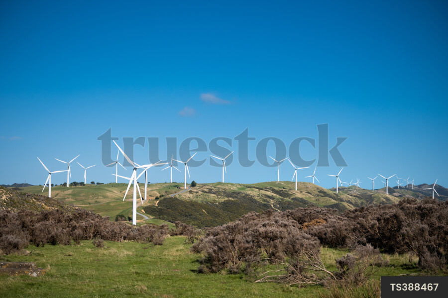 Makara West Wind Farm in Wellington