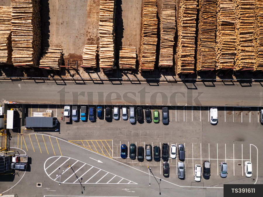Timber and car park at Port Nelson