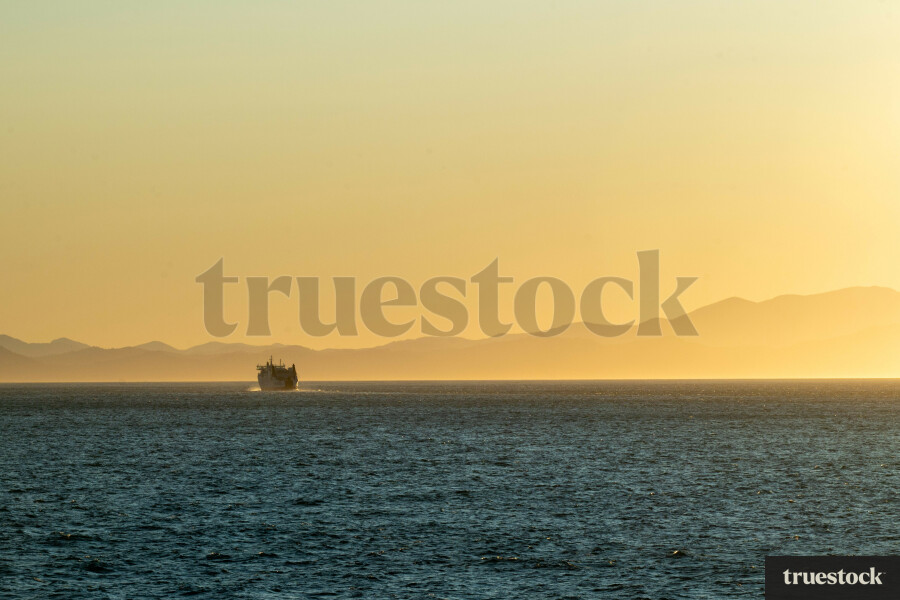 Wellington Harbour at Sunrise