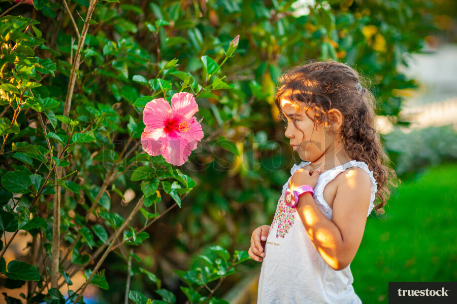 Child looking at a hibiscus flower with sun rays hitting the body