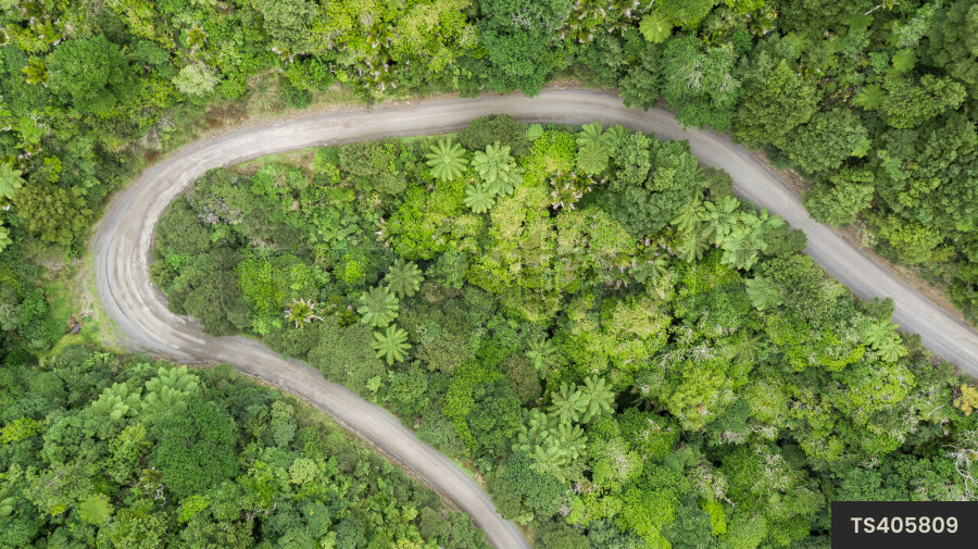 Aerial view of unpaved road through green forest