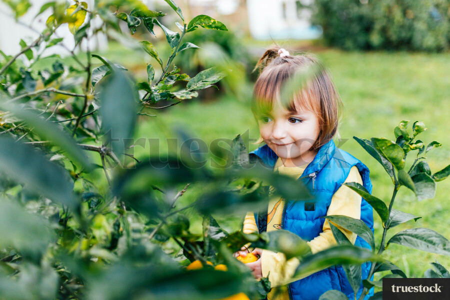 Girl Picking Fruit