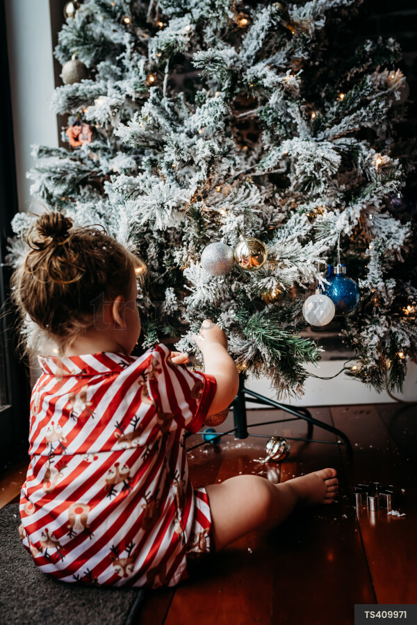 Young Girl with Christmas Tree