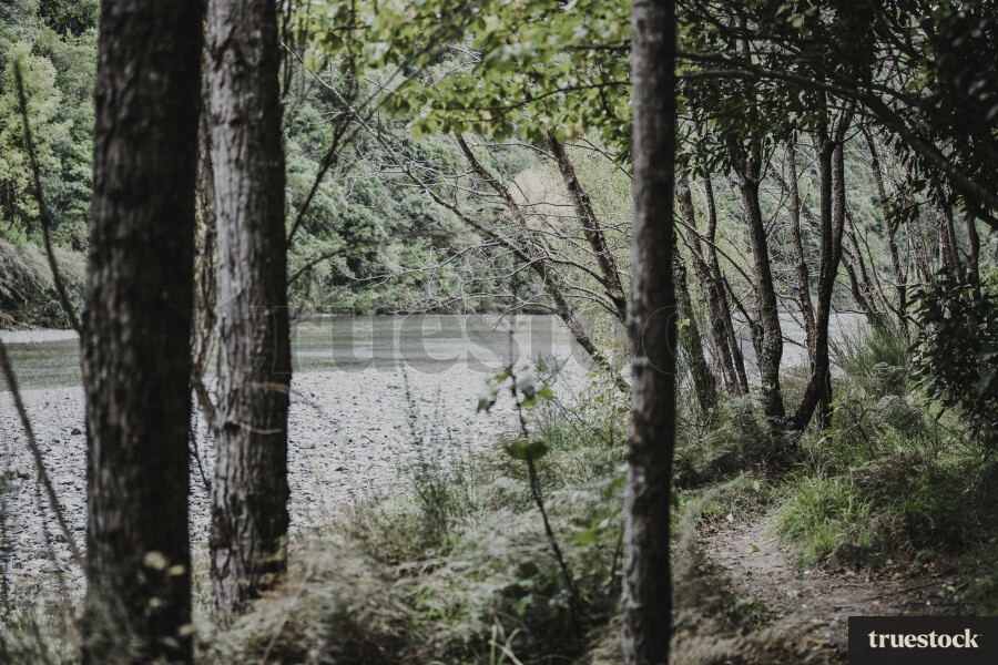Ashley Gorge, Canterbury