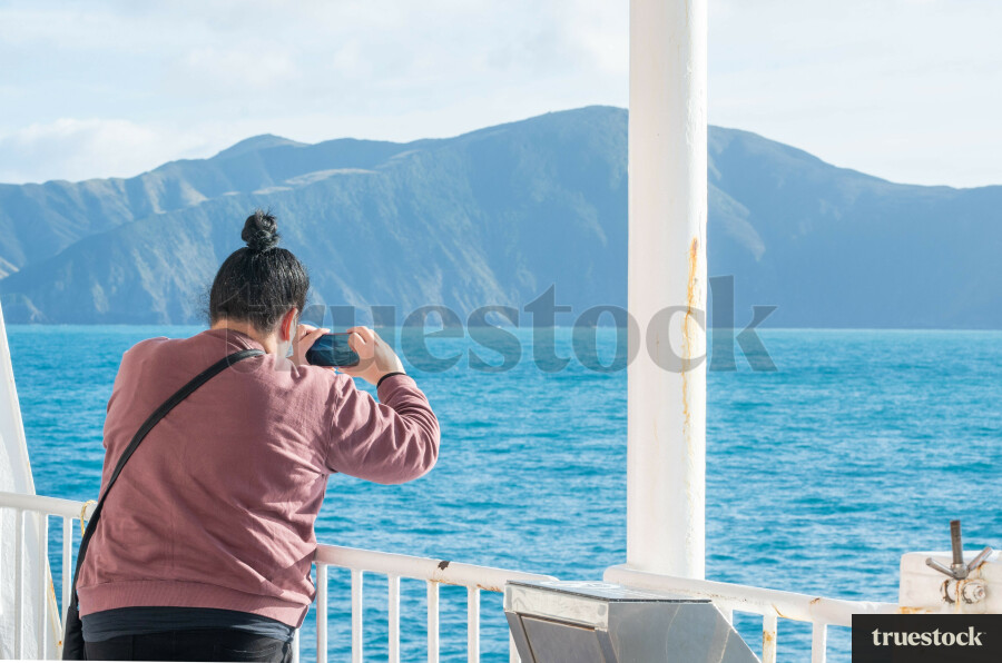 Cook Straight Landscape and Ocean