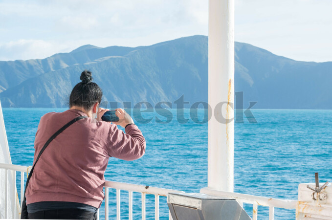 Cook Straight Landscape and Ocean