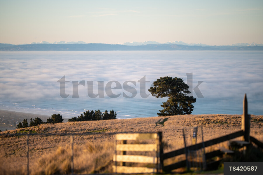 Fog over sea at Godley Head, Canterbury