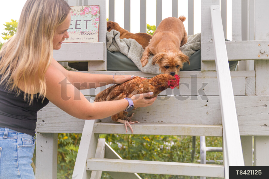 Woman with chicken and dog