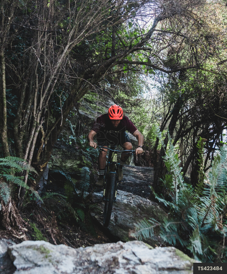 Man mountain biking through forest in South Island