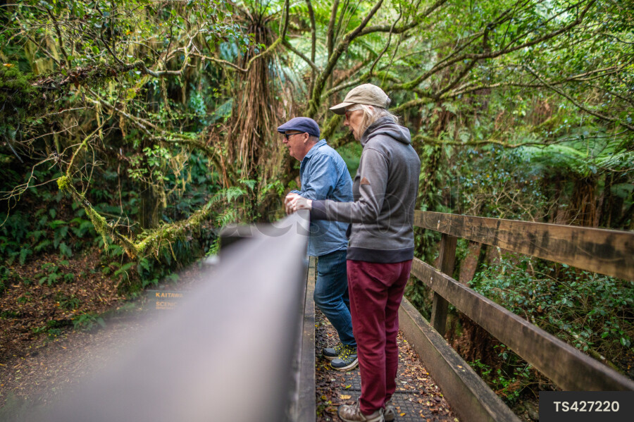 Couple hiking on bridge in forest