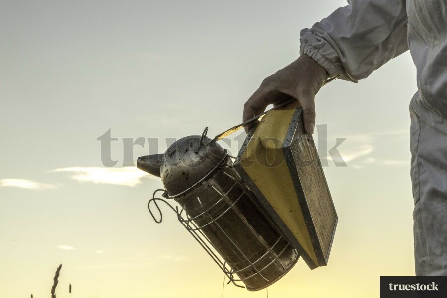 Beekeeping smoker