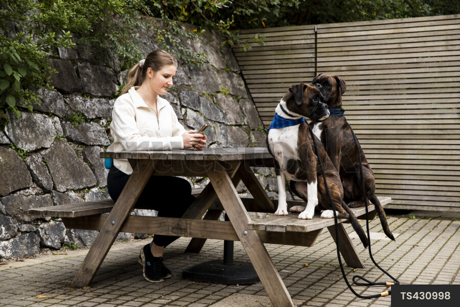 Woman Sitting With Dogs on Bench