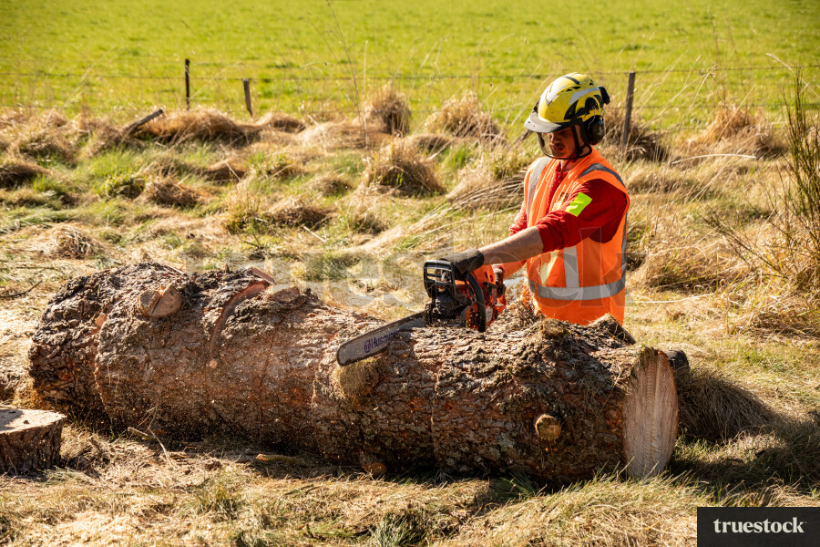 Worker Cutting Log