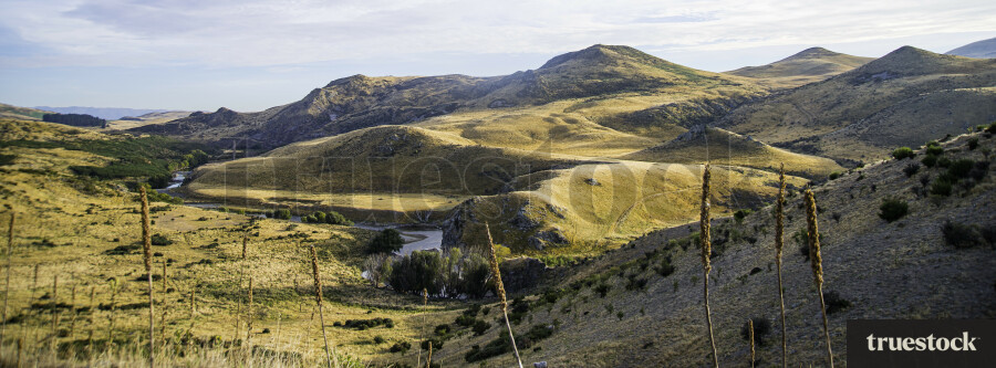 Otago Landscape