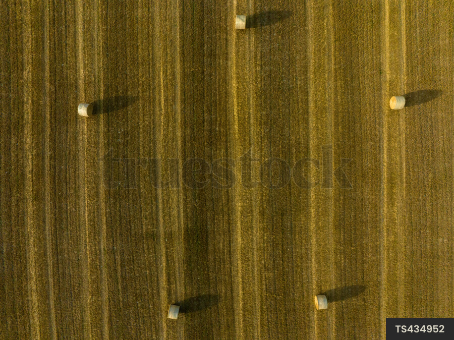 Top Down View of Farm