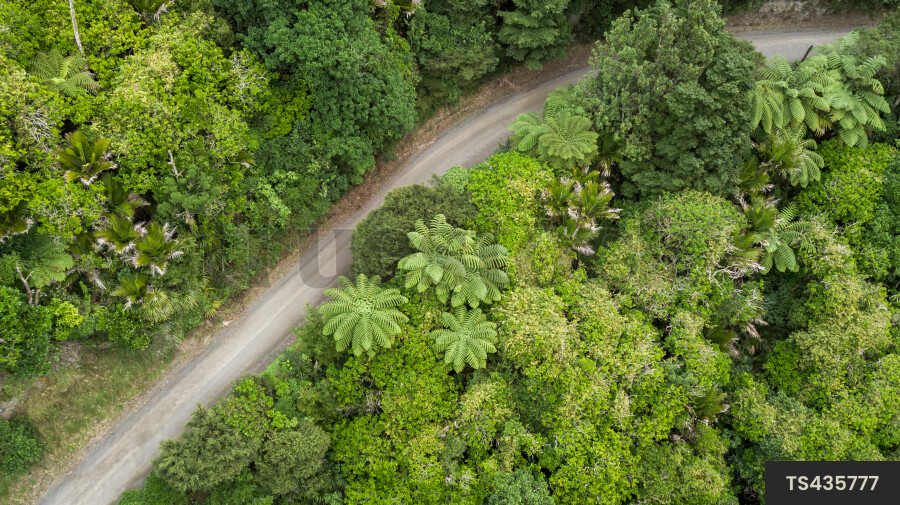 Aerial view of unpaved road through green forest