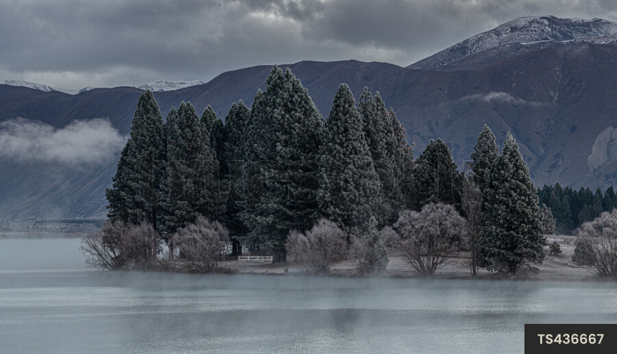 Trees and lake under frost in Twizel