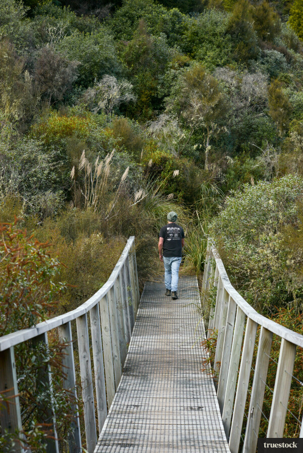 Adult walking along bridge in the forest