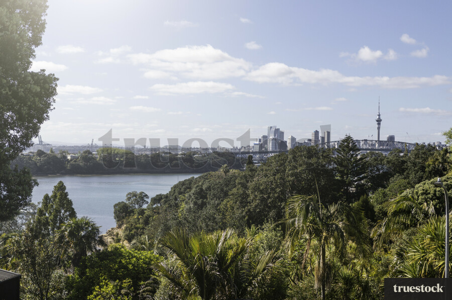 Auckland Harbour bridge & Sky Tower visible from street